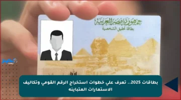 بطاقات 2025.. تعرف على خطوات استخراج الرقم القومي وتكاليف الاستمارات المتباينة